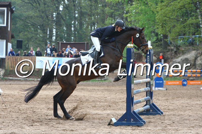 005L4040_Twister_Stil L.JPG